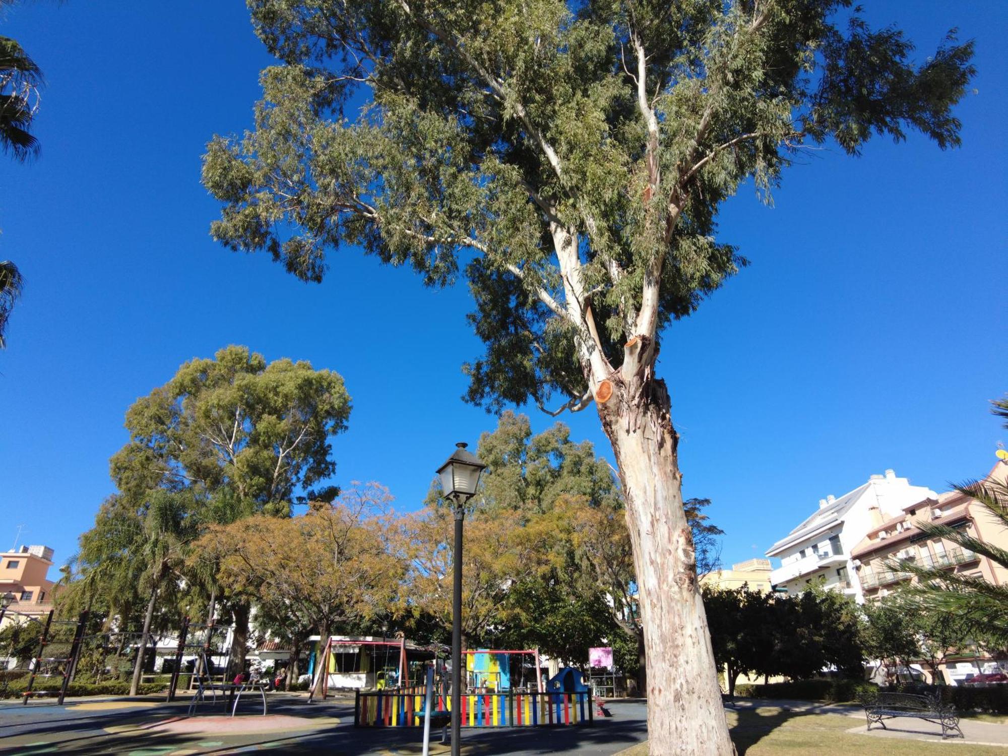Huoneisto City Parque Del Sol *