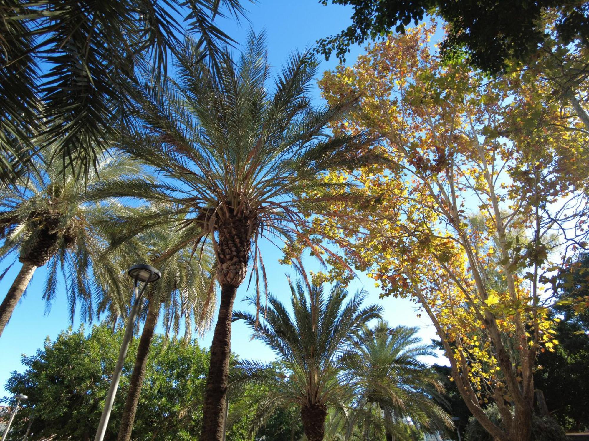 Apartment City Parque Del Sol